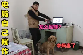 电脑无缘无故自己操控软件，把小亮金毛吓坏了，这是中病毒了吗？视频封面