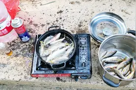 乡间小溪爆钓一盆野生溪石斑鱼，就地起锅烧油开吃，味道极香视频封面