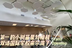 中英双语蒙特梭利幼儿园视频封面