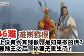 西游八十一难 第46难：难辨猕猴2。没有六耳猕猴，如来在撒谎？视频封面