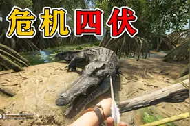 绿色地狱：身长5米的大鳄鱼，皮比石头还要硬视频封面