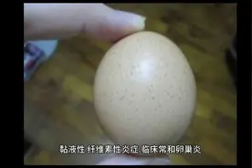 鸡输卵管炎用什么药效果最好蛋鸡输卵管炎的中药视频封面