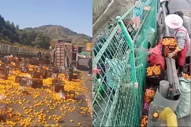 云南一满载橘子货车高速翻车，蜜桔洒满路面，村民隔护栏高举送还视频封面