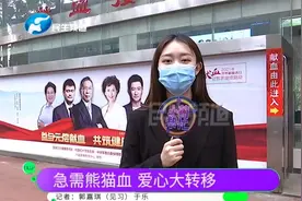 河南郑州：父亲手术急需“熊猫血”救命，儿子无奈求助视频封面