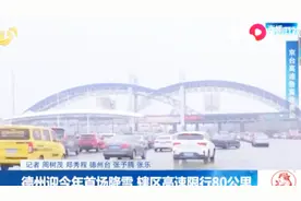 大年初九,返程高峰遇大范围雨雪天气,京沪高速沿线部分收费站关闭视频封面
