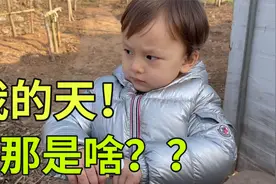俄罗斯美女远嫁中国，带着混血儿子来中国农村，第一次见鹅？视频封面