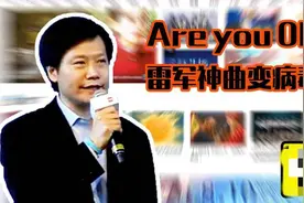 终于找到雷军are you ok的原版，31秒有惊喜视频封面