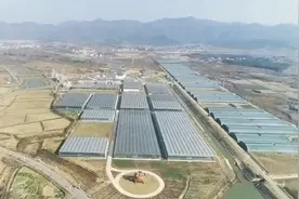 现代农业园区温室规划设计建造视频封面