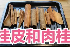 桂皮不能食用，肉桂不是桂皮，大师讲解香料常识，送家用炖肉配方