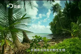 纪录片：岛屿野生大地2- 加勒比群岛 天堂的另一边视频封面