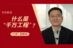 “三农”新鲜词｜划重点：“千万工程”生动实践！