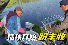 农民王小：2023年种下希望，东北插秧开始了，希望风调雨顺丰收年
