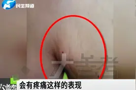 腋下出现鸡蛋大的肿块，医院一看，竟是患上“猫抓病”！视频封面