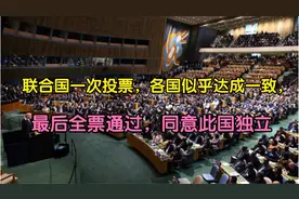 联合国一次投票，各国似乎达成一致，最后全票通过，同意此国独立视频封面