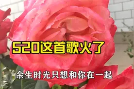 520，刚出的新歌，朋友圈就播火了，太好听了，忍不住分享给你！