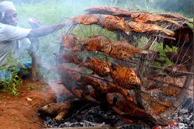 印度大爷户外烤鱼，一次烤60条，看着都食欲大开！视频封面