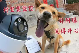 为了更好保护狗狗，买个监控在村路口装上，阿爆全程在旁陪伴