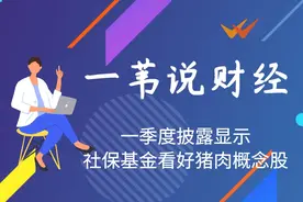 一季度披露显示社保基金看好猪肉概念股视频封面