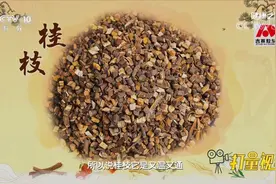 桂枝可温通心脏阳气，与炙甘草搭配能起到补心阳的功效丨健康之路视频封面