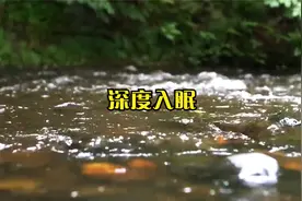 【2小时】深度助眠 中国古箏輕音樂 放鬆解壓 睡前播放视频封面