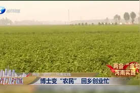 女博士放弃高薪回乡创业，抓住家乡的资源优势助力经济发展视频封面