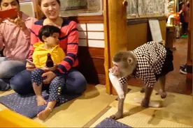 国外一餐厅猴子当服务员，还会与顾客拍照，这种揽客方式太独特！