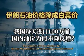我国石油进口花费1.6万亿为何油价上涨，反而对我国有益视频封面