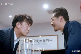 红果小说 I 鉴宝 I 效果广告