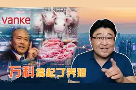 养猪比卖房子赚钱！万科养25万头猪转型，房地产行业迎转折？视频封面