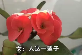 一辈子为啥这么难，吃过多少苦，流过多少汗，尝尽人间冷与暖