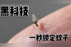听到嗡嗡嗡却找不到蚊子？黑科技用激光瞬间定位