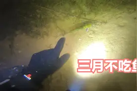 为什么三月不吃鱼？视频封面