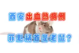 西安出现鼠疫？死亡率高达10%！出血热会不会人传人？视频封面