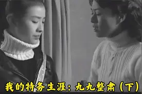 我的特务生涯：九九整肃（下）视频封面