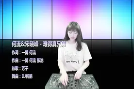 何流、宋晓峰《难得真兄弟》DJ何鹏版