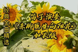 70年代老电影《红雨》插曲《赤脚医生向阳花》曲调委婉 经典流传视频封面
