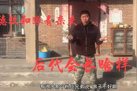 德牧和狼青杂交后，串出来的后代会长成啥样？品相让人高呼不已