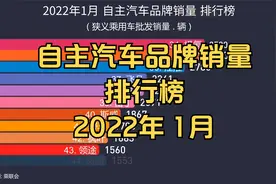 2022年1月 自主汽车品牌销量 排行榜视频封面