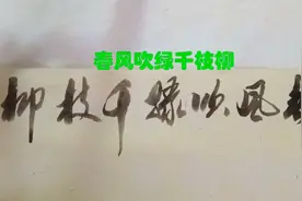 上联：春风吹绿千枝柳  敬请下联：视频封面