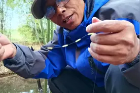 详解谷麦钓鲤鱼的钓组安装以及调漂技巧和钓法，你会了吗？