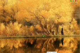 电脑浏览器无法显示Flash解决方法