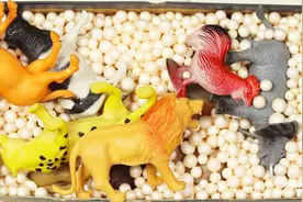 益智玩具英语启蒙学习动物的名字，狮子老虎大象公鸡长颈鹿犀牛视频封面