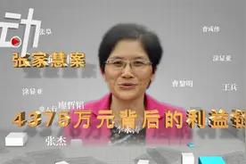 海南高院原副院长张家慧4375万元受贿案全梳理 行贿者近半为律师视频封面