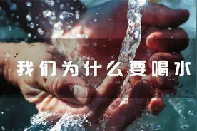 我们为什么要喝水？视频封面