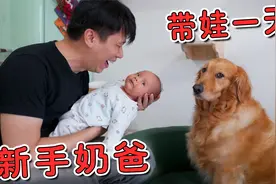 新手奶爸挑战带娃一天，真是状况百出啊！视频封面