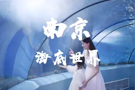 在南京海底世界，与精灵为伴，住进海底两万里，触碰不一样的世界视频封面
