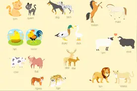 Tom为什么叫Tom，你老婆为什么自称女王，答案都在这里。视频封面