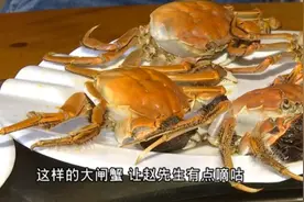 四两河蟹，个个有黄！“蒸熟竟发苦”？这“苦”到底从哪来？