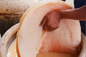 醋中长出像太岁肉一样的东西视频封面
