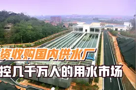 比断供芯片还可怕！外资收购国内供水厂，掌控几千万人的用水市场视频封面